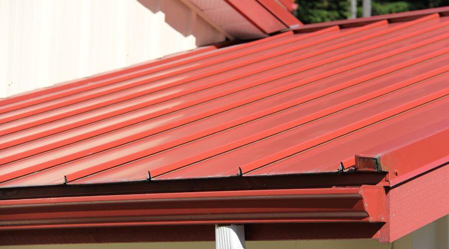 Gutter Debris Removal in Detroit, AL